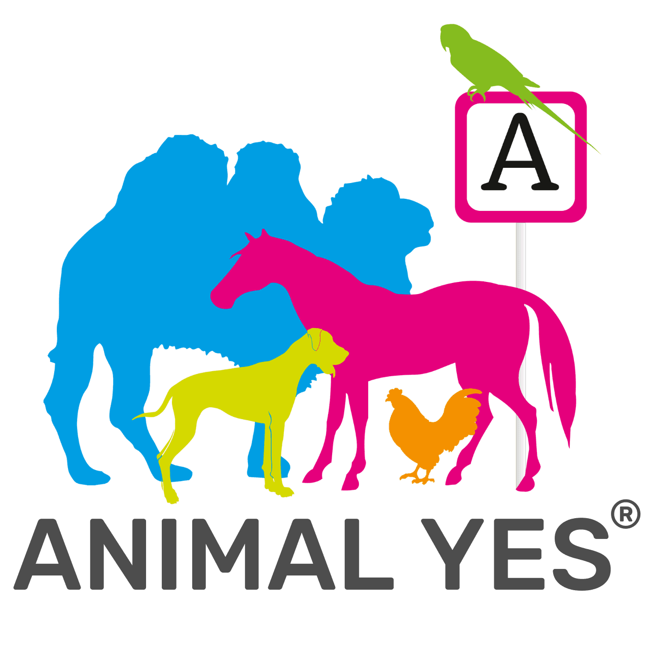 Image of Animal Yes Image of Animal Yes