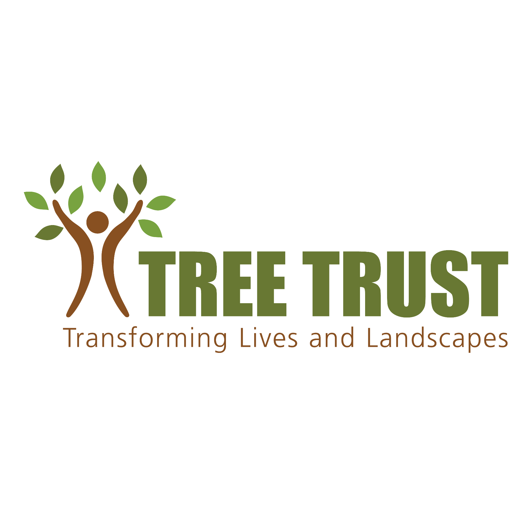 Image of Tree Trust Alumni Stories