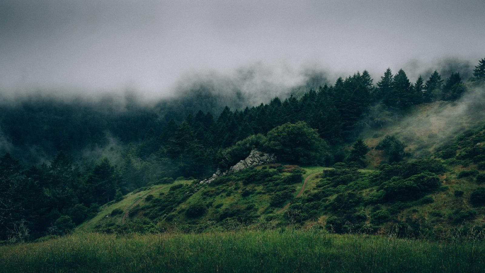 How to collect testimonials at scale: systems, timing, and incentives that work